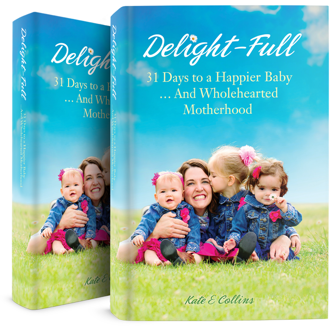 Delight-Full book