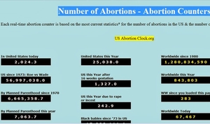 abortion clock