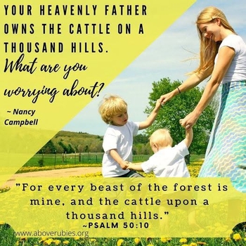 CattleHills