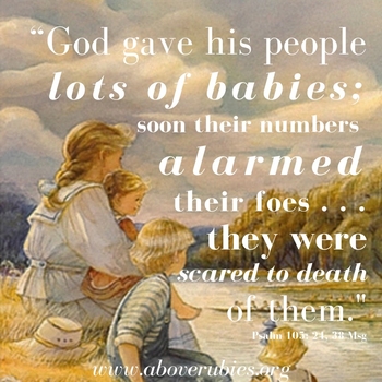 Lotsobabies