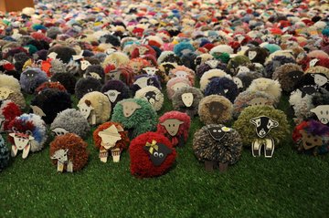 SheepFlock 360x240